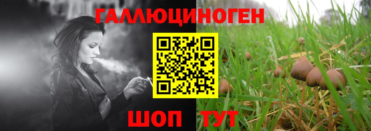 Галлюциногенные грибы ЛСД  Галлюциногенные грибы Cubensis  Вход с VPN  хочу   Новосибирск 