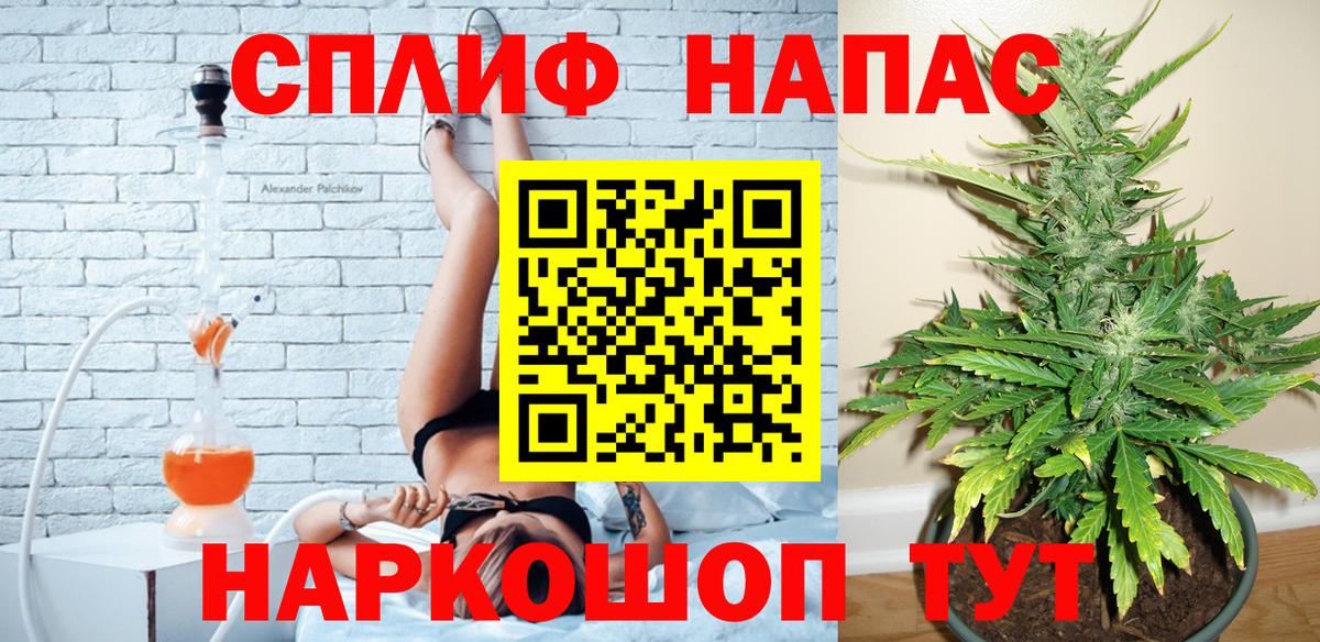 Бошки Шишки семена Новосибирск